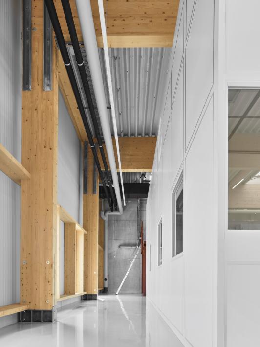 Innenraum im Verwaltungsbau Gläser in Horb mit sichtbarer Holzstruktur, Installationen und offener Haustechnik - Architektur arcplus Freudenstadt