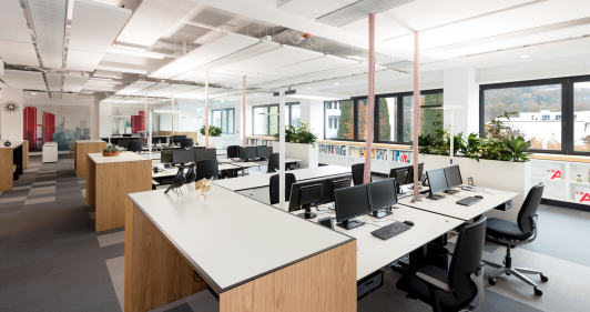 Offene Wissenslandschaft in der Häfele Hauptverwaltung in Nagold mit modernen Arbeitsplätzen, Kommunikationszonen und begrünten Arbeitsbereichen für Wissenstransfer, Innovation und Zusammenarbeit. Bauherr: Häfele. Ort: Nagold. Geplant und umgesetzt von arc+ GmbH Freudenstadt.